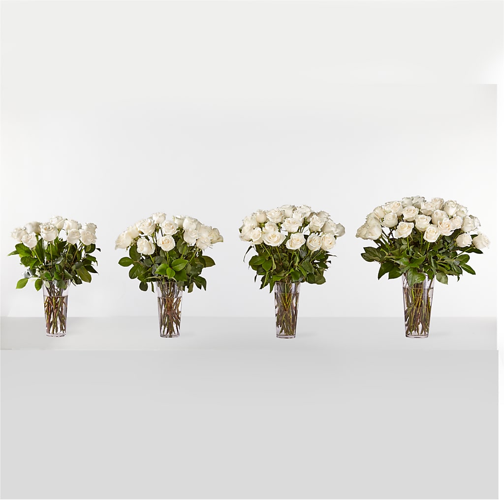 Long Stem White Rose Bouquet – OBIE'S FLOWERS, Pemberville OH
