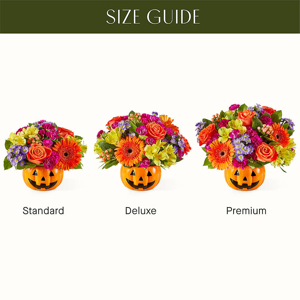 Tricks & Treats Pumpkin – OBIE'S FLOWERS, Pemberville OH