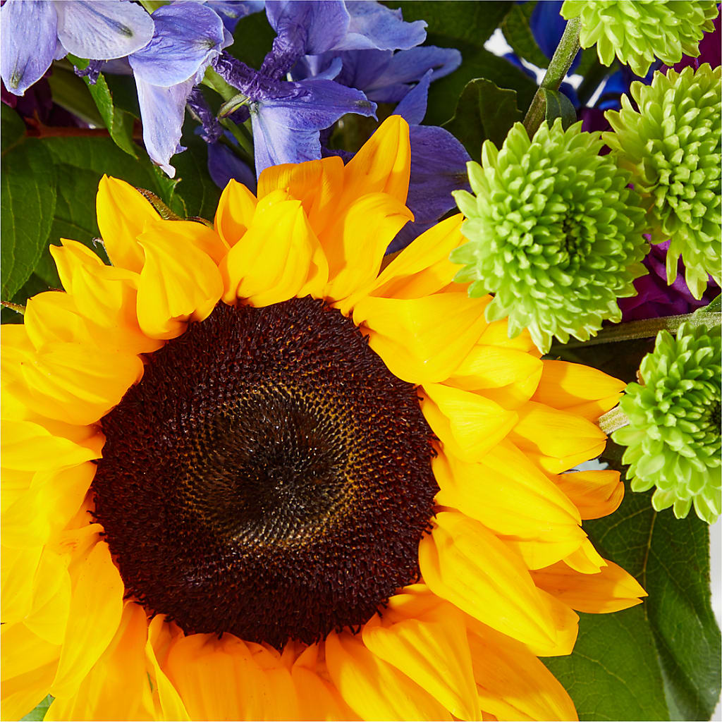 Catching Rays Bouquet – OBIE'S FLOWERS, Pemberville OH