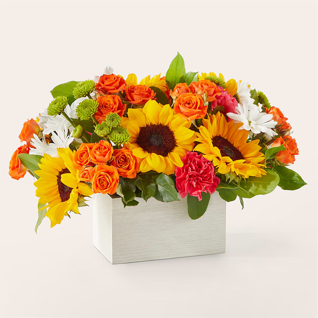 Sun-drenched Blooms Box Bouquet – OBIE'S FLOWERS, Pemberville OH