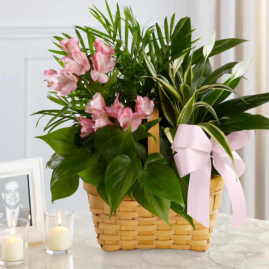 Living Spirit Dishgarden – OBIE'S FLOWERS, Pemberville OH