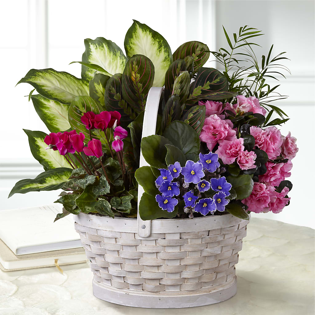 Peaceful Garden Planter – OBIE'S FLOWERS, Pemberville OH