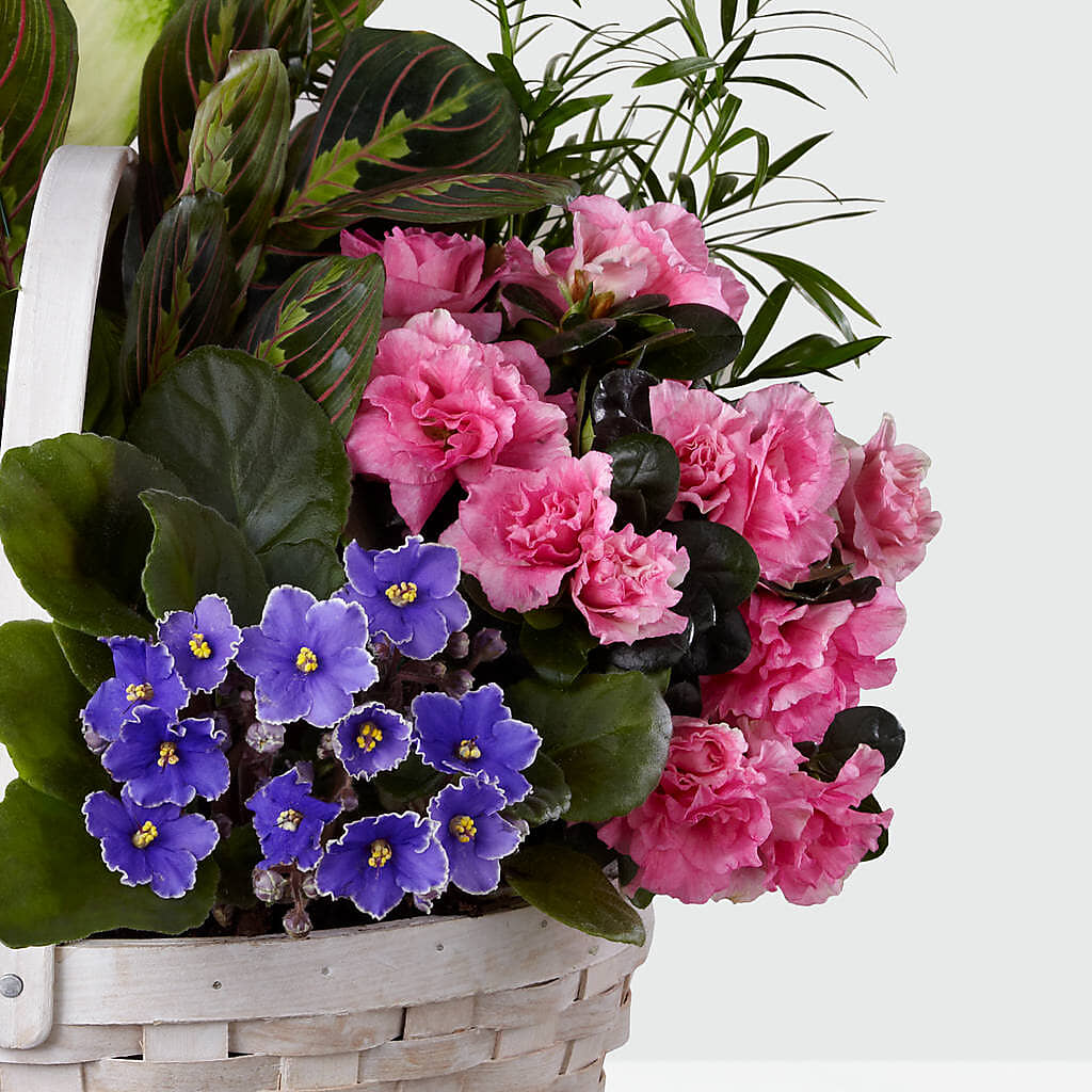 Peaceful Garden Planter – OBIE'S FLOWERS, Pemberville OH