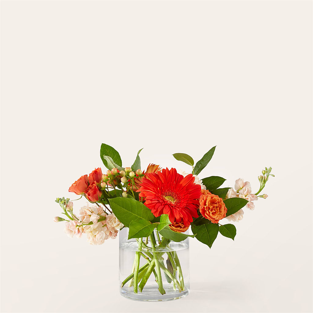 Paloma Please Bouquet – OBIE'S FLOWERS, Pemberville OH