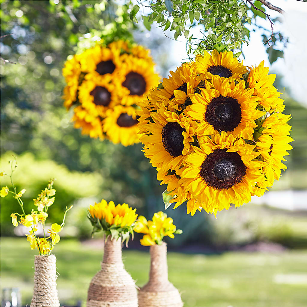 Sublime Garden Hanging Arrangement – OBIE'S FLOWERS, Pemberville OH