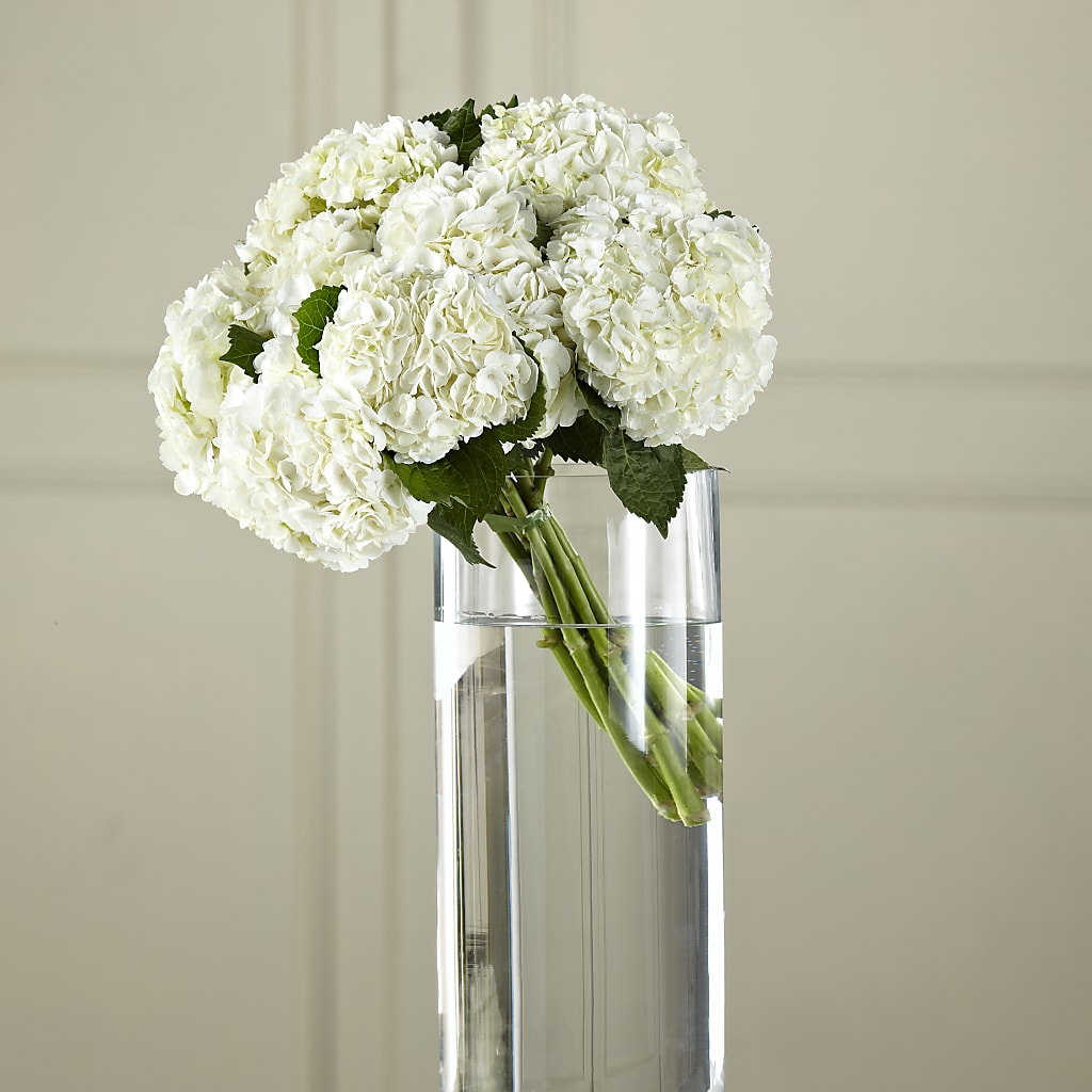 White Hydrangea Hand-Tied Bouquet – OBIE'S FLOWERS, Pemberville OH