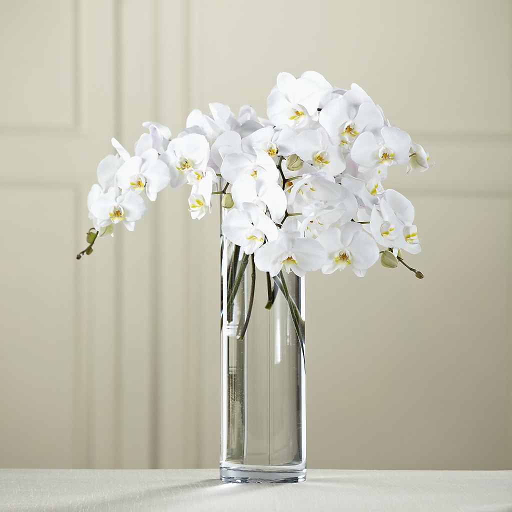 White Phalaenopsis Bouquet – OBIE'S FLOWERS, Pemberville OH