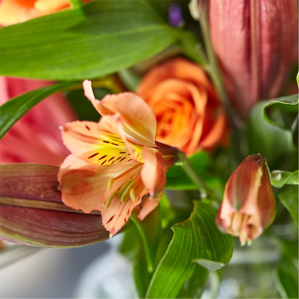 Bold & Bright – A Florist Original – OBIE'S FLOWERS, Pemberville OH