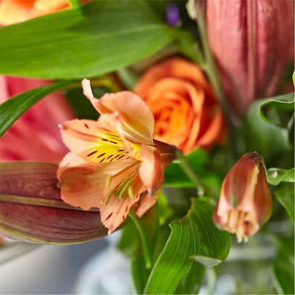 Bold & Bright – A Florist Original – OBIE'S FLOWERS, Pemberville OH