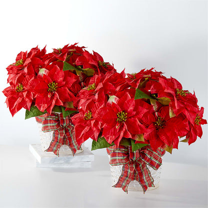 Happiest Holidays Poinsettia Bundle – OBIE'S FLOWERS, Pemberville OH