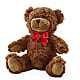 Adorable Plush Bear – OBIE'S FLOWERS, Pemberville OH