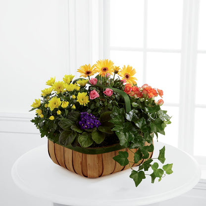 Gentle Blossoms Basket – OBIE'S FLOWERS, Pemberville OH