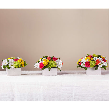Sorbet Bouquet – OBIE'S FLOWERS, Pemberville OH