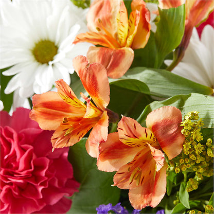 Oopsie Daisy Box Bouquet – OBIE'S FLOWERS, Pemberville OH