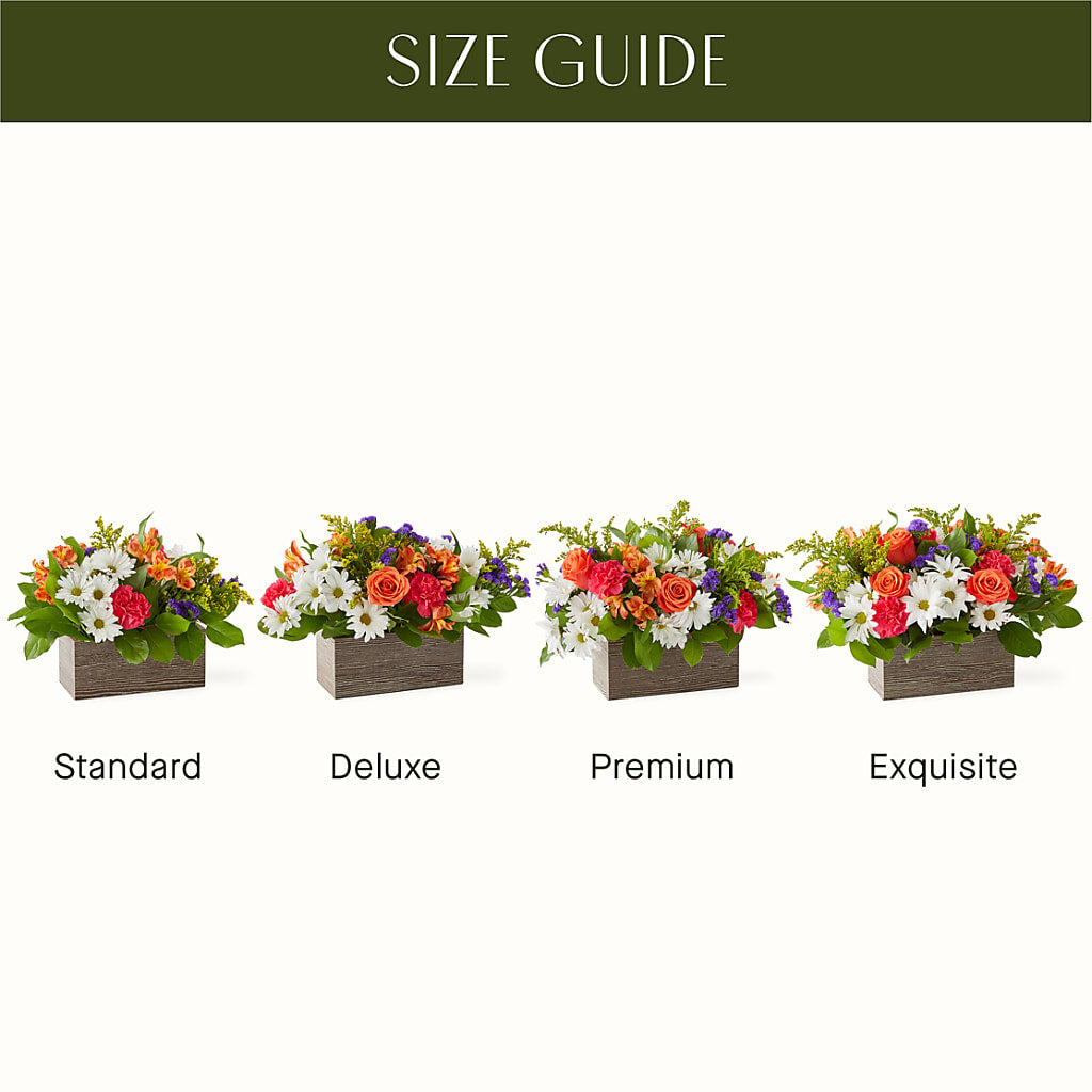 Oopsie Daisy Box Bouquet – OBIE'S FLOWERS, Pemberville OH