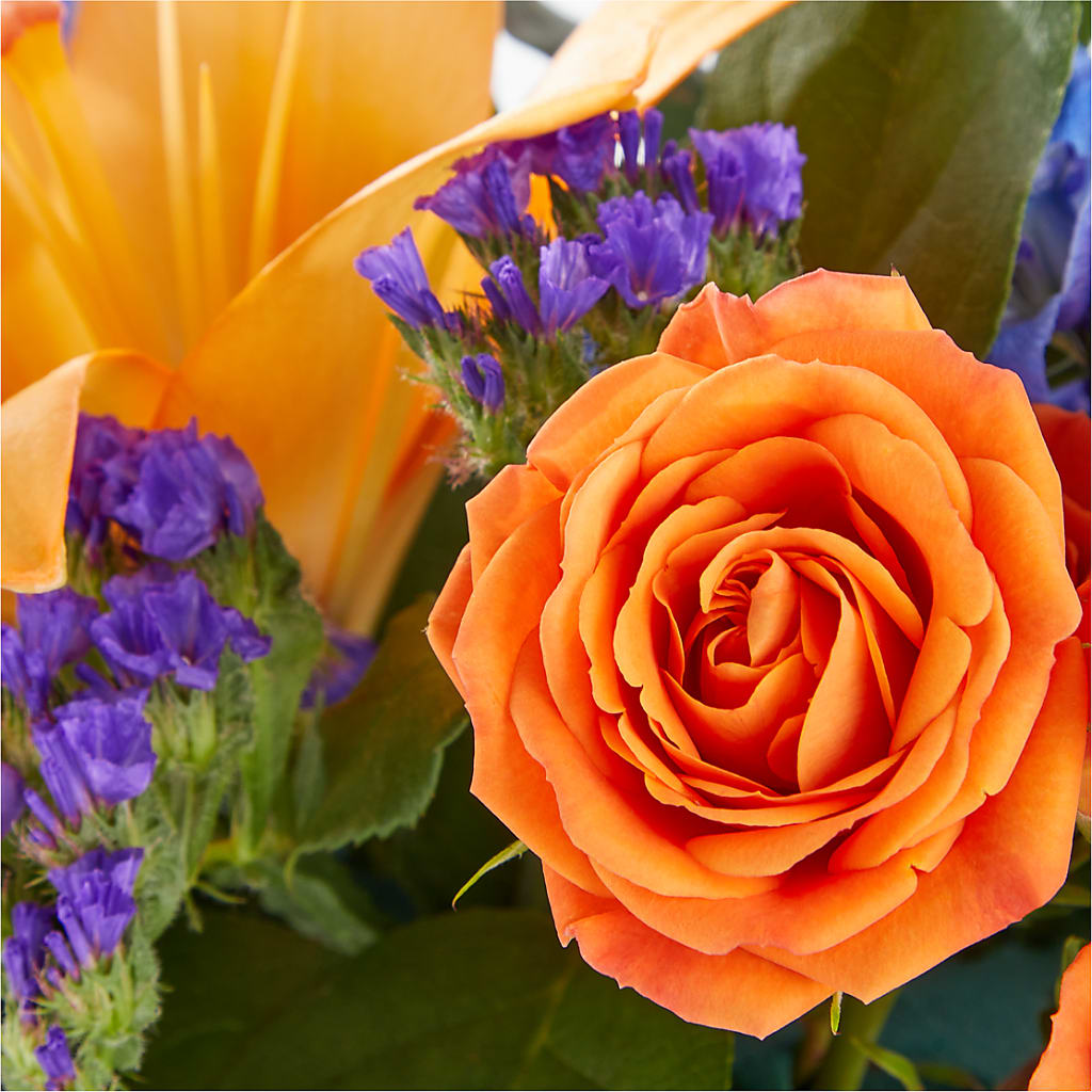 Radiant Citrus Box Bouquet – OBIE'S FLOWERS, Pemberville OH