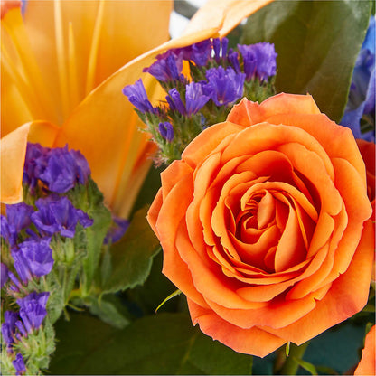Radiant Citrus Box Bouquet – OBIE'S FLOWERS, Pemberville OH