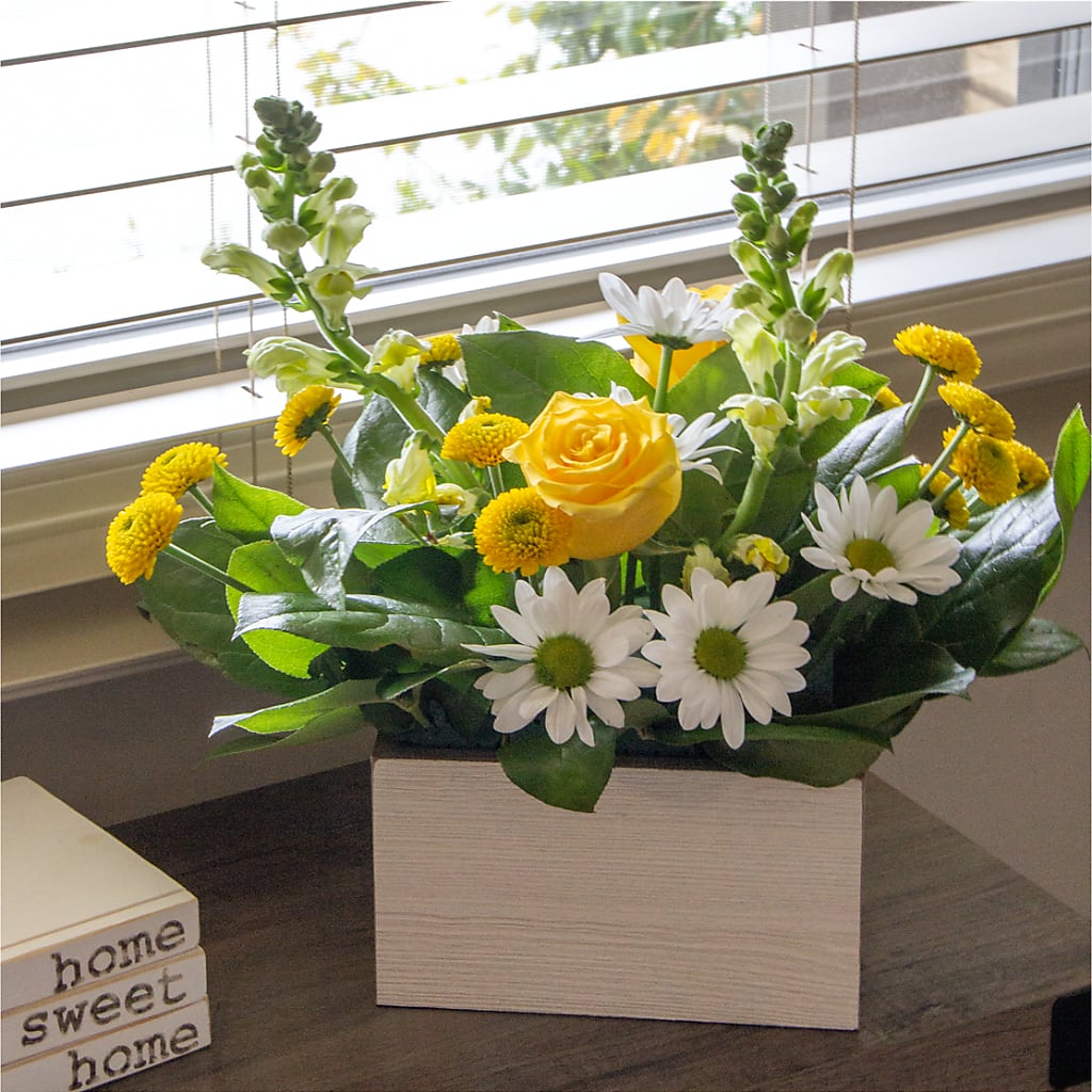Sun Salutation Box Bouquet – OBIE'S FLOWERS, Pemberville OH