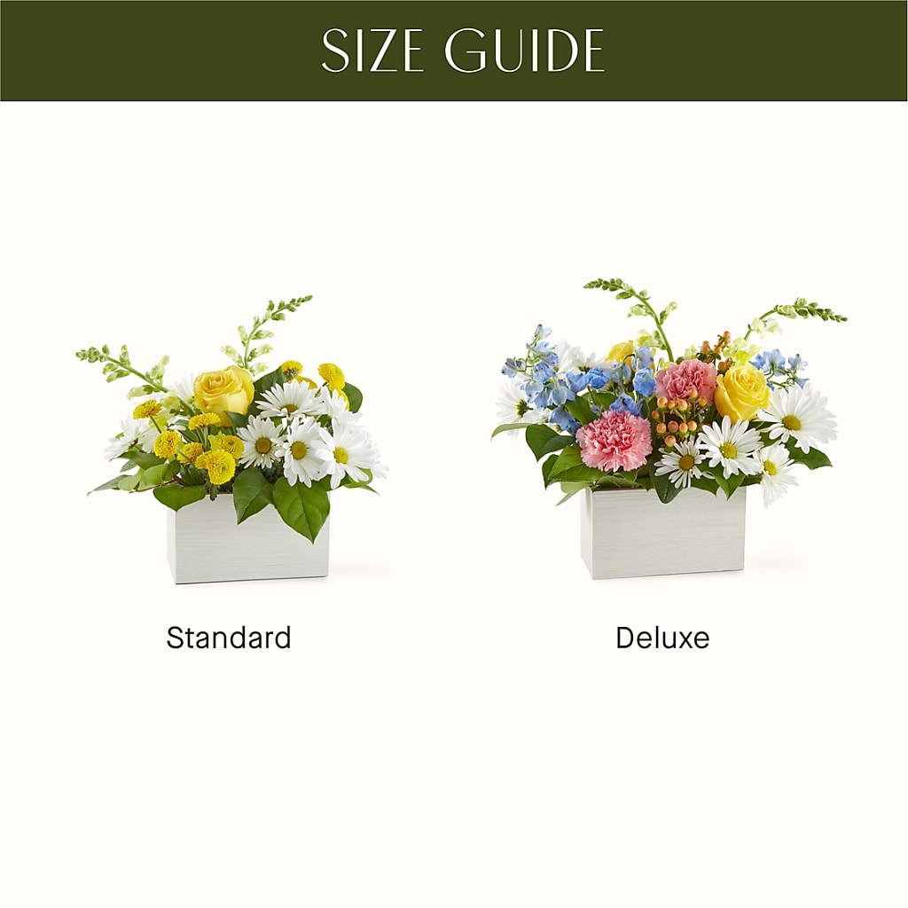 Sun Salutation Box Bouquet – OBIE'S FLOWERS, Pemberville OH