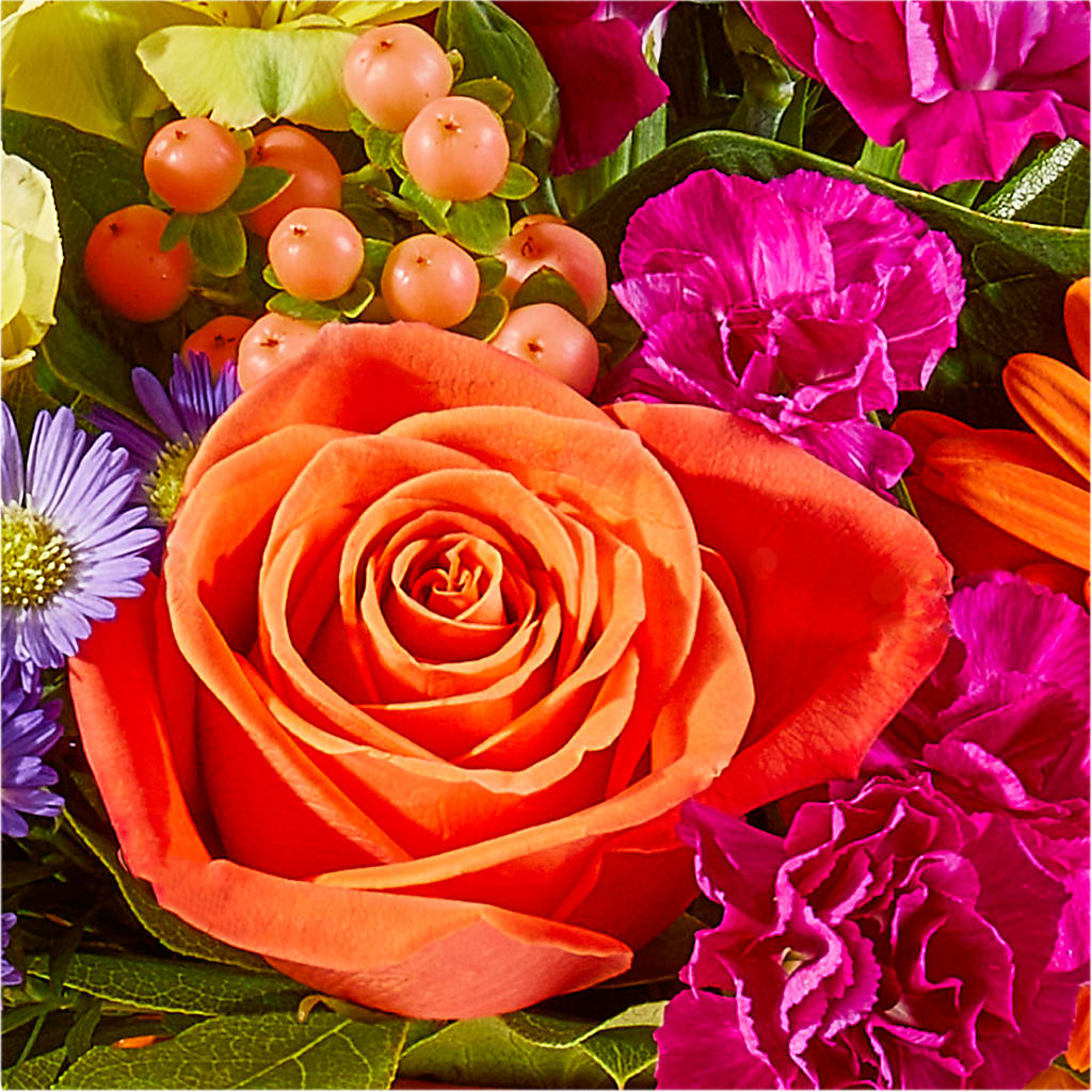 Tricks & Treats Pumpkin – OBIE'S FLOWERS, Pemberville OH
