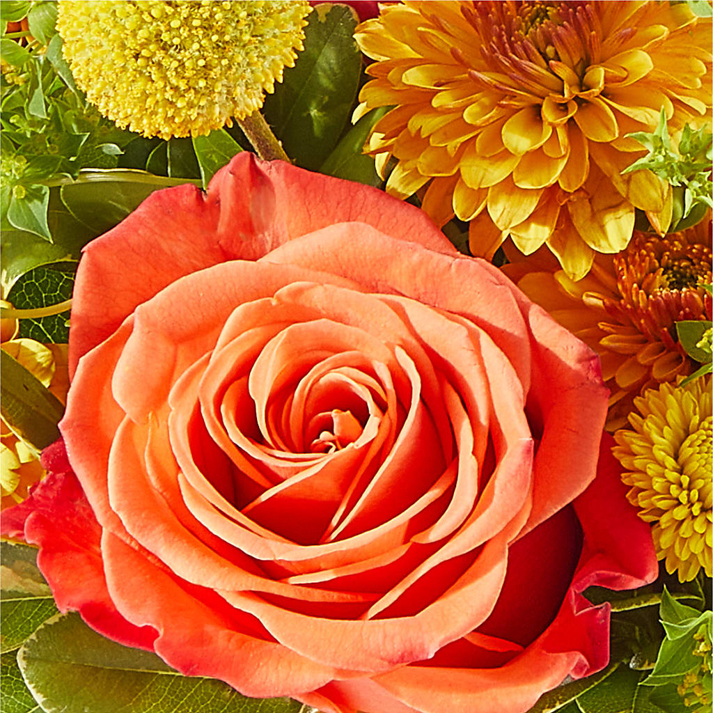 Gourdgeous Pumpkin – OBIE'S FLOWERS, Pemberville OH