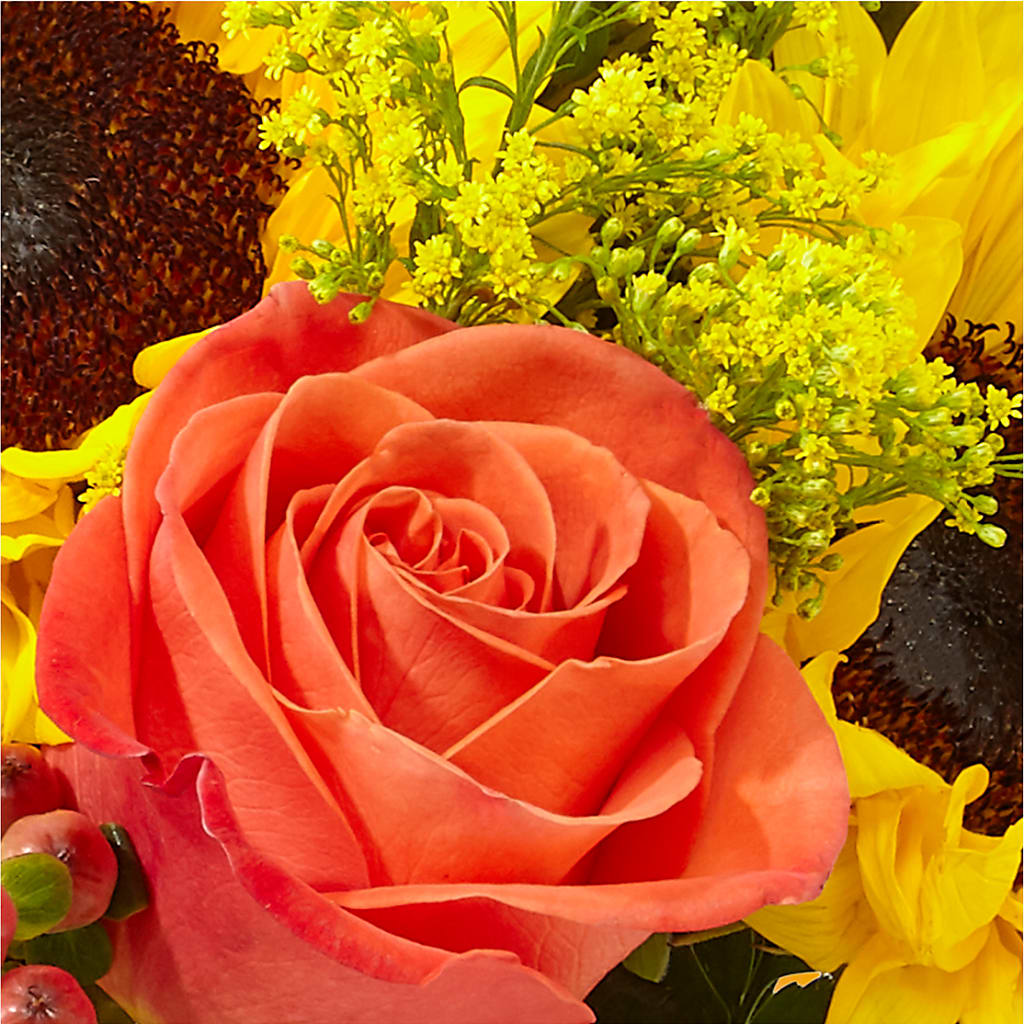 Pick of the Patch Pumpkin Bouquet – OBIE'S FLOWERS, Pemberville OH