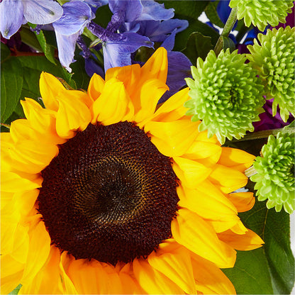 Catching Rays Bouquet – OBIE'S FLOWERS, Pemberville OH