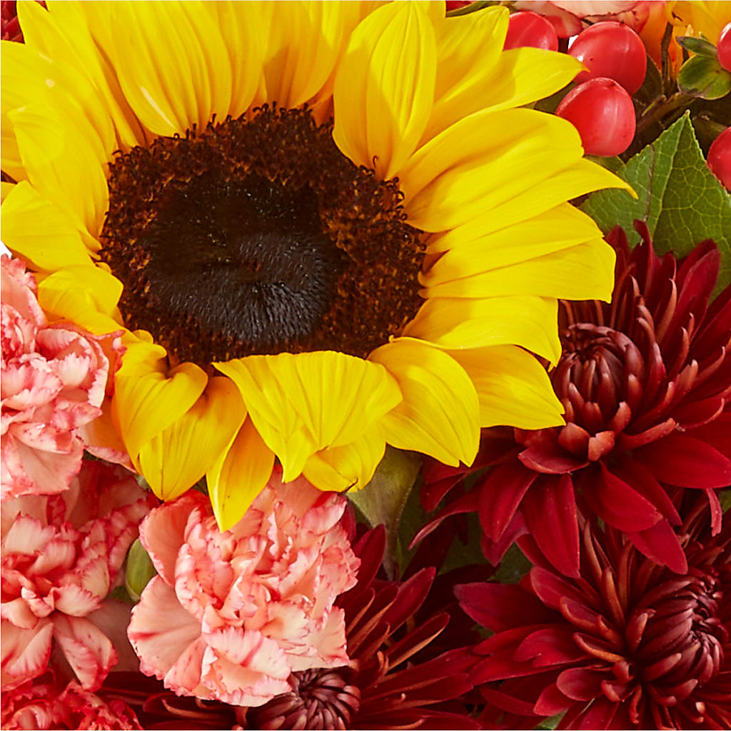 Fresh Cider Bouquet – OBIE'S FLOWERS, Pemberville OH