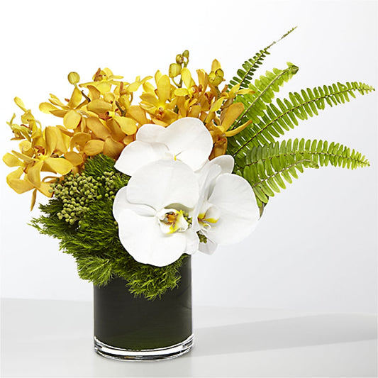 The Tropics – OBIE'S FLOWERS, Pemberville OH