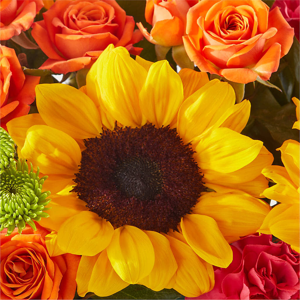 Sun-drenched Blooms Box Bouquet – OBIE'S FLOWERS, Pemberville OH