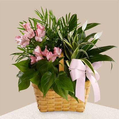 Living Spirit Dishgarden – OBIE'S FLOWERS, Pemberville OH