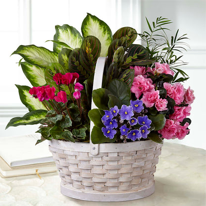 Peaceful Garden Planter – OBIE'S FLOWERS, Pemberville OH