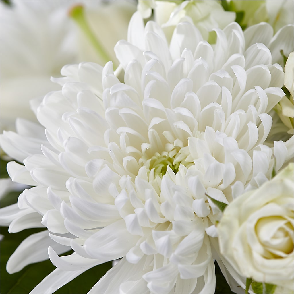 Classic Ivory – A Florist Original – OBIE'S FLOWERS, Pemberville OH