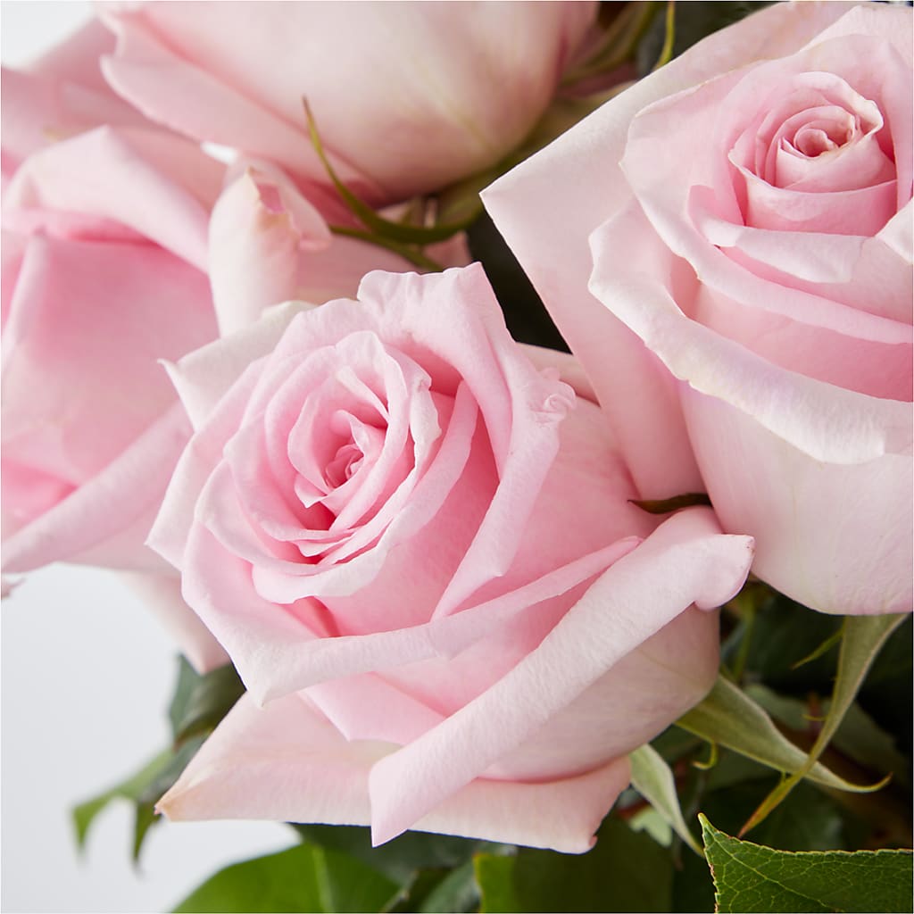 Picture Perfect Pink Rose Bouquet – OBIE'S FLOWERS, Pemberville OH