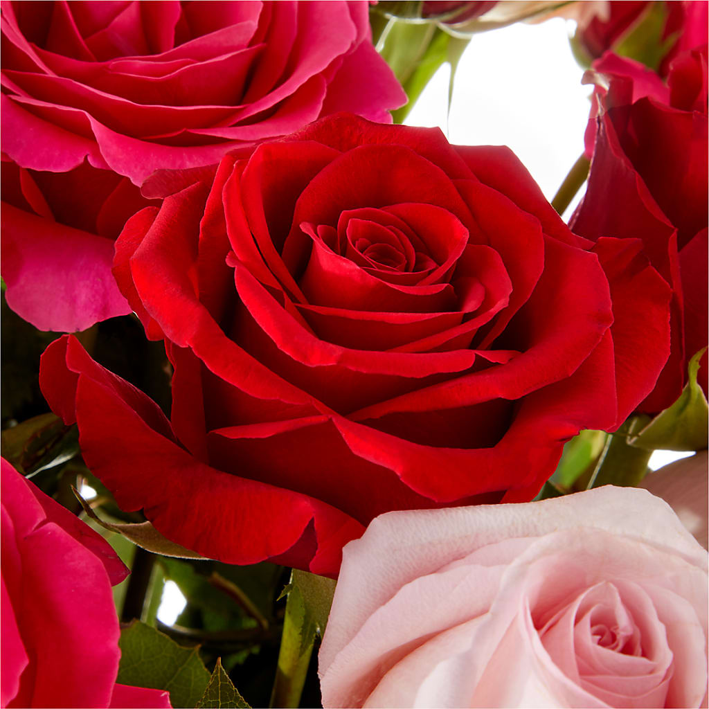 Love Notes Rose Bouquet – OBIE'S FLOWERS, Pemberville OH