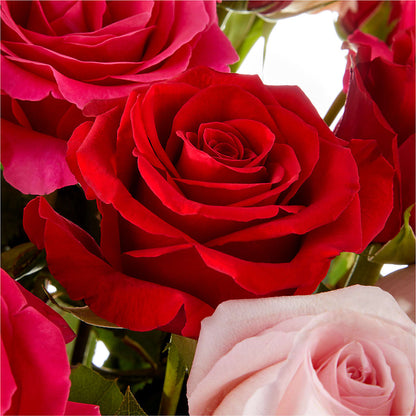 Love Notes Rose Bouquet – OBIE'S FLOWERS, Pemberville OH