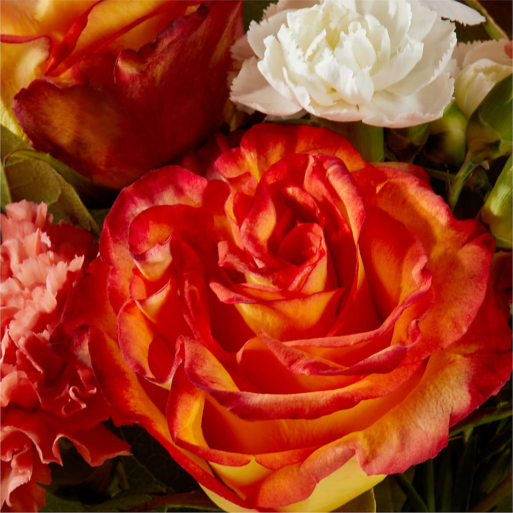 Apricot Glow Bouquet – OBIE'S FLOWERS, Pemberville OH