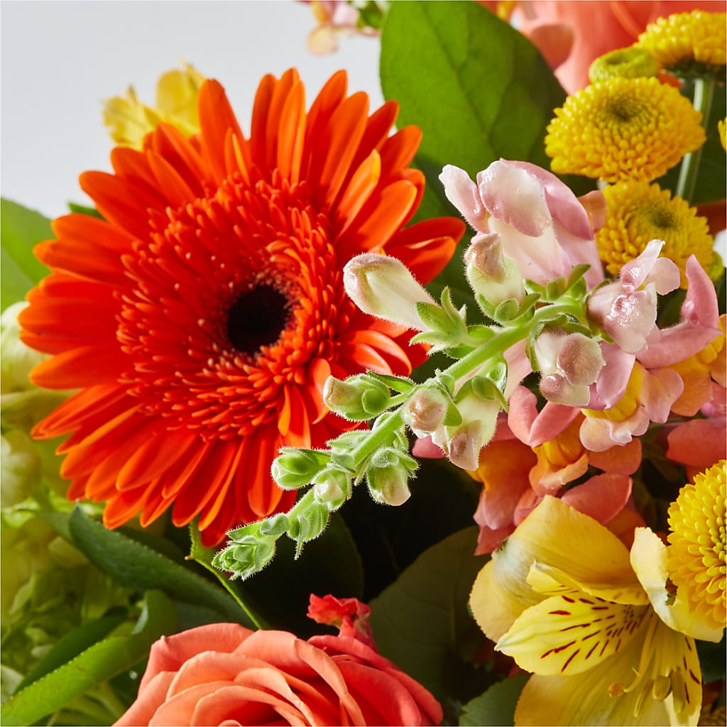 Autumn Sunshine Bouquet – OBIE'S FLOWERS, Pemberville OH