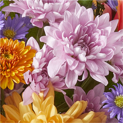 Countryside Bouquet – OBIE'S FLOWERS, Pemberville OH
