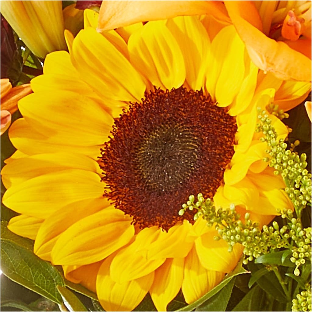 Seasons Change Bouquet – OBIE'S FLOWERS, Pemberville OH
