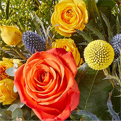 Disco Bouquet – OBIE'S FLOWERS, Pemberville OH
