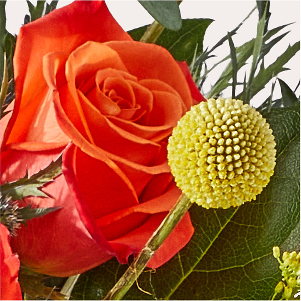 Disco Bouquet – OBIE'S FLOWERS, Pemberville OH