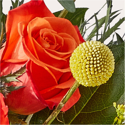 Disco Bouquet – OBIE'S FLOWERS, Pemberville OH