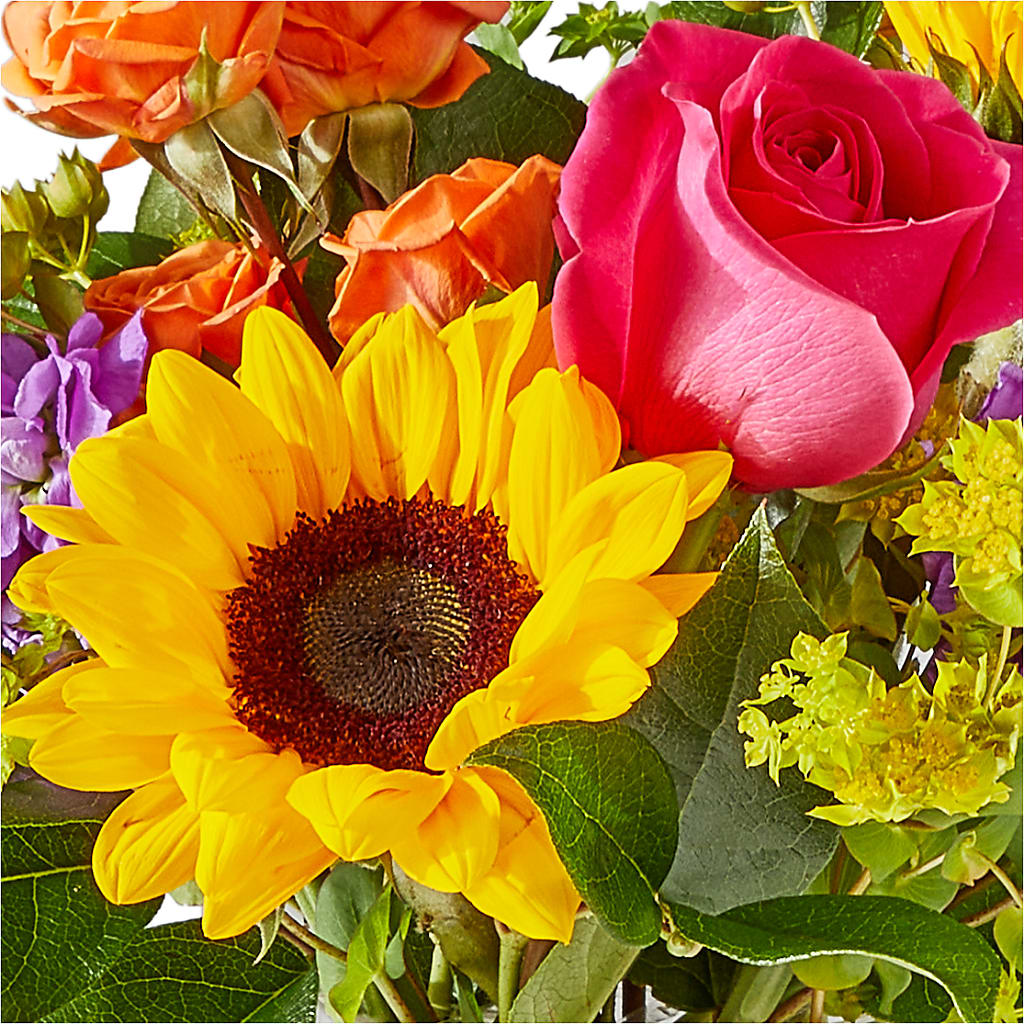 Vibrant Greetings Bouquet – OBIE'S FLOWERS, Pemberville OH