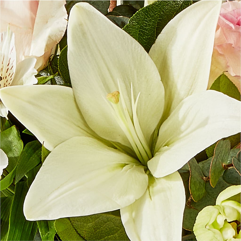 Ballet Slippers Bouquet – OBIE'S FLOWERS, Pemberville OH