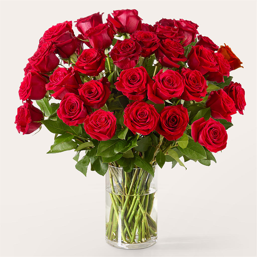 The One Red Rose Bouquet – OBIE'S FLOWERS, Pemberville OH