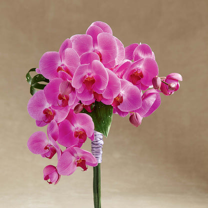 Glorious Bouquet – OBIE'S FLOWERS, Pemberville OH