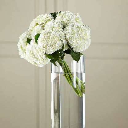 White Hydrangea Hand-Tied Bouquet – OBIE'S FLOWERS, Pemberville OH