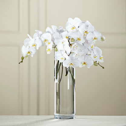 White Phalaenopsis Bouquet – OBIE'S FLOWERS, Pemberville OH